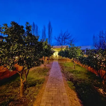 Stylish Garden Retreat, Ultimate Relaxation *