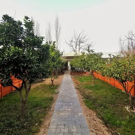 Stylish Garden Retreat, Ultimate Relaxation *